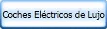 Coches Eléctricos de Lujo