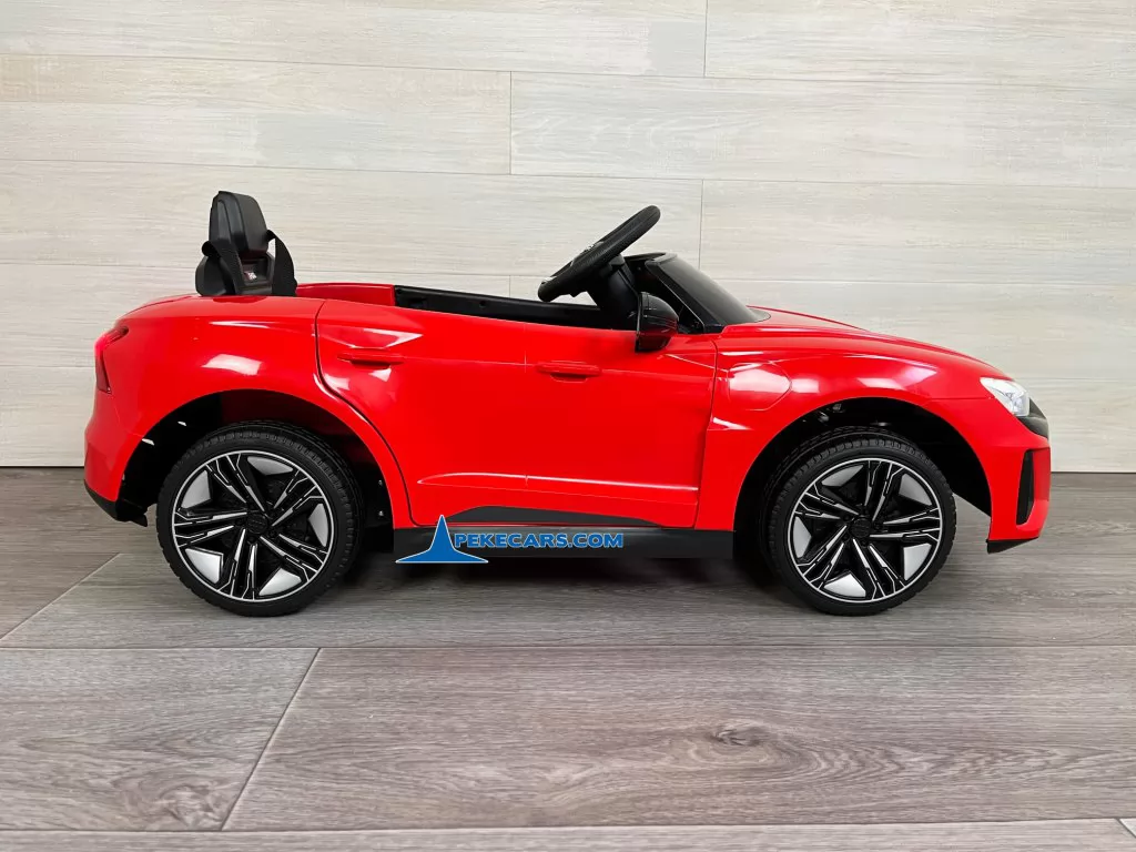 audi rs e tron gt rojo coches teledirigidos vista izquierda