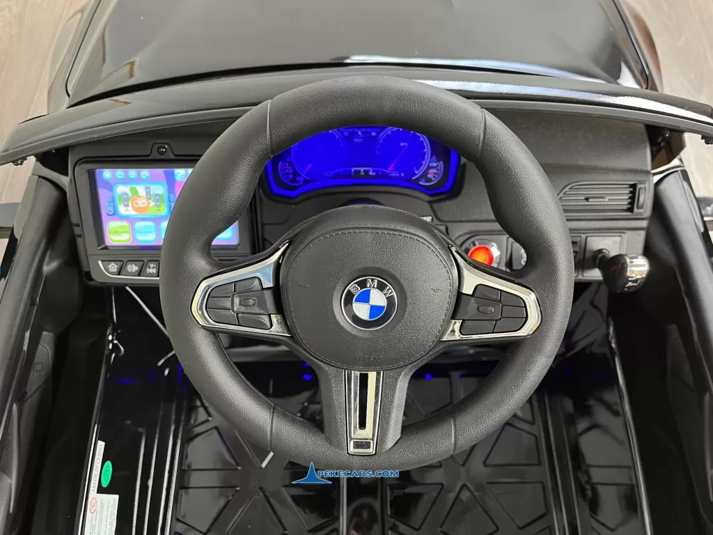 BMW M5 24V con Pantalla MP4 Negro metalizado