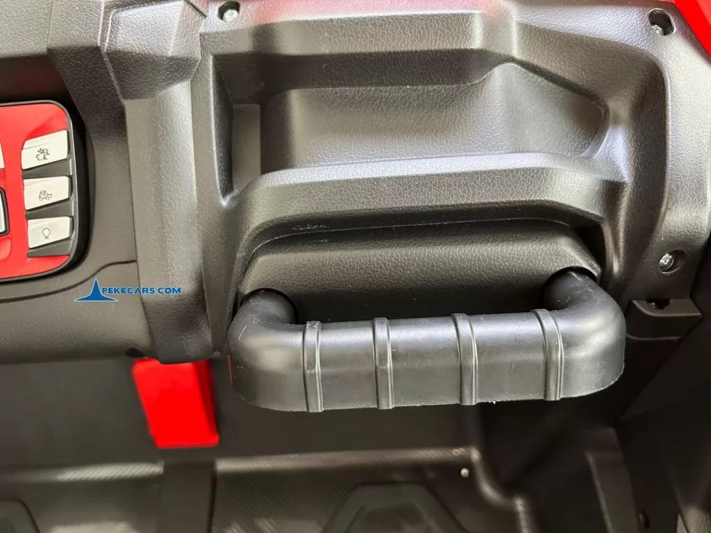 Buggy 1000R 24V Rojo asidera