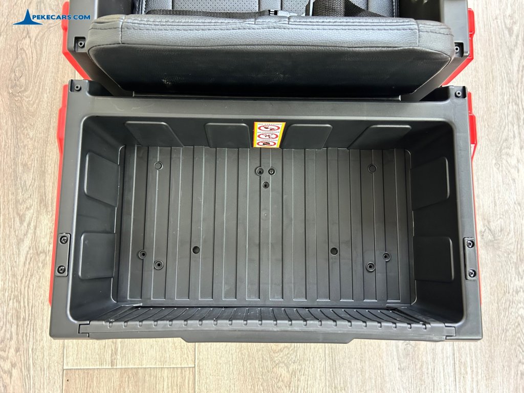 Buggy 1000RR 12V Rojo Niños