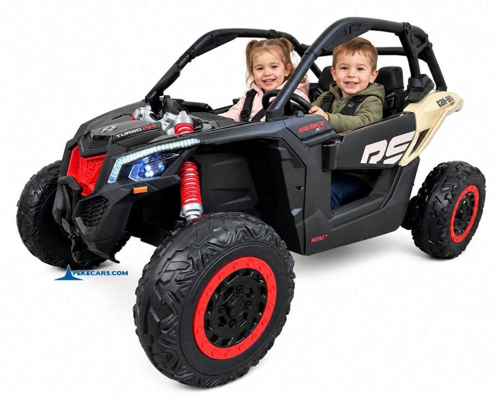 Can AM Maverick negro 24V