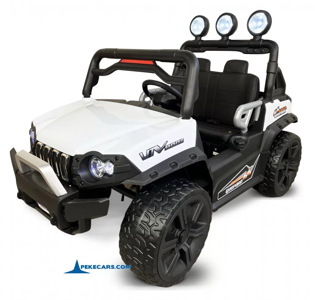 todoterreno buggy guepard