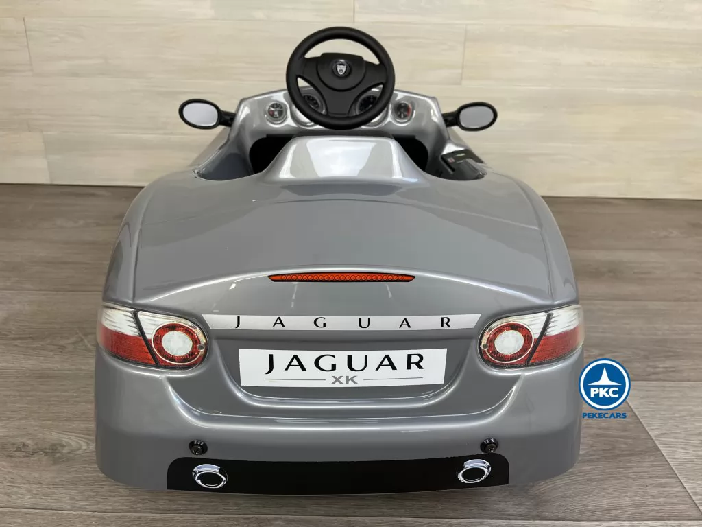 Jaguar XK 6V Gris parte trasera