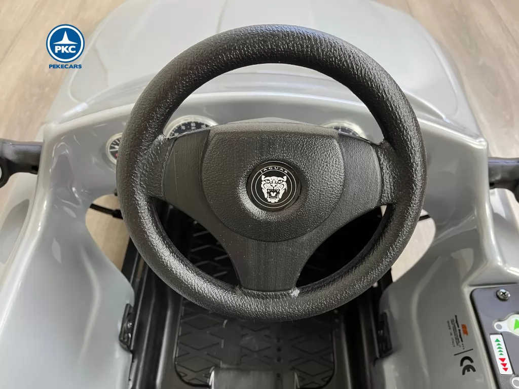 Jaguar XK 6V Gris volante