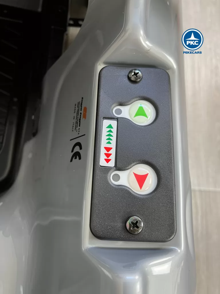 Jaguar XK 6V Gris cambio marcha