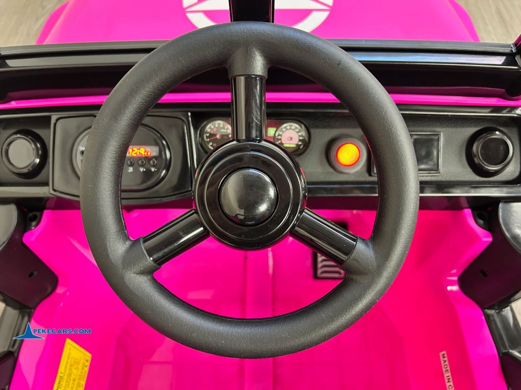 Jeep Mountain King 12V 2.4G Rosa