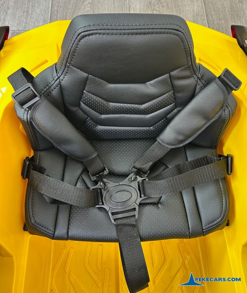 Lamborghini Sian 12V 2.4G Amarillo asiento