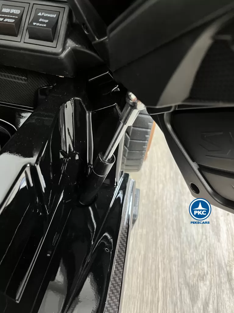 Lamborghini Sian 12V 2.4G Negro