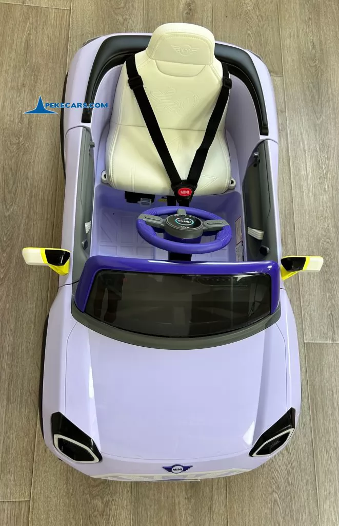MINI ACEMAN 12V 2.4G Morado vista arriba