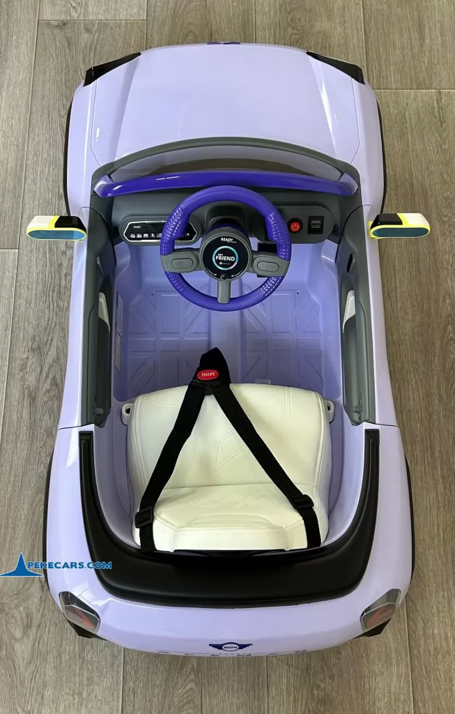 MINI ACEMAN 12V 2.4G Morado vista cenital