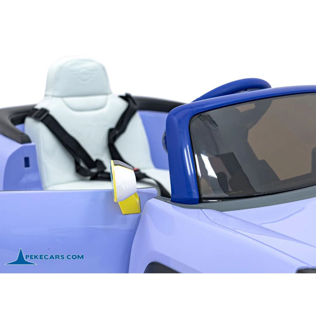 MINI ACEMAN 12V 2.4G Morado asiento