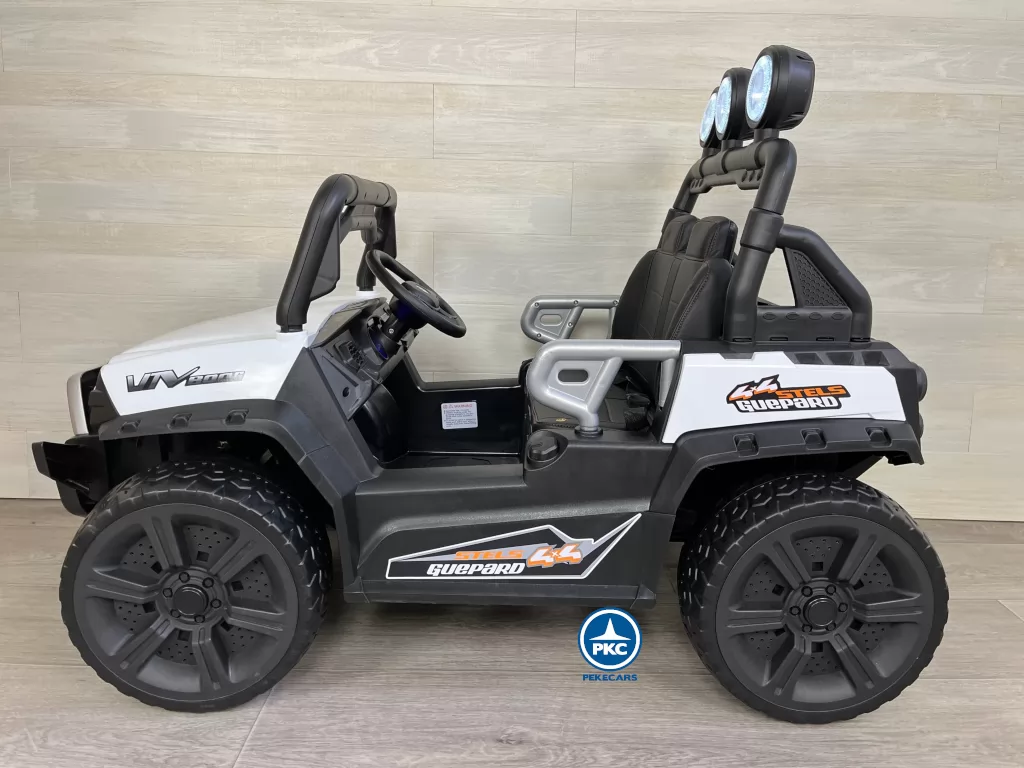 todoterreno buggy guepard lateral