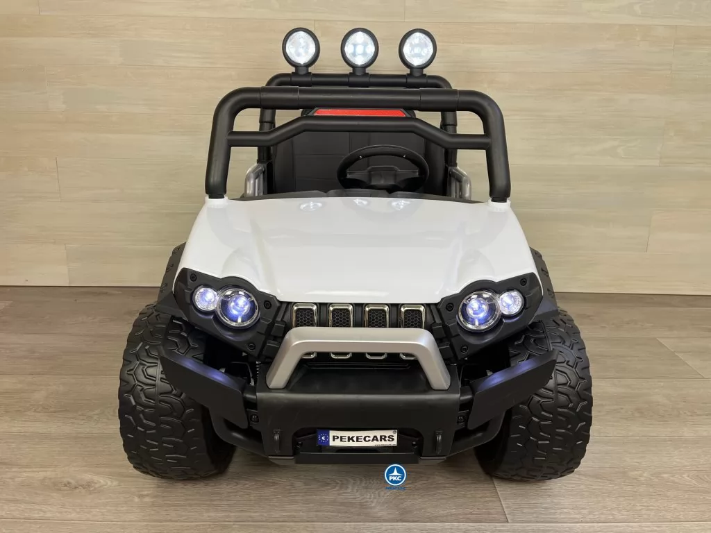 todoterreno buggy guepard frontal