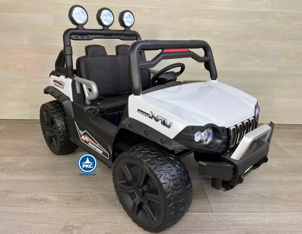 todoterreno buggy guepard