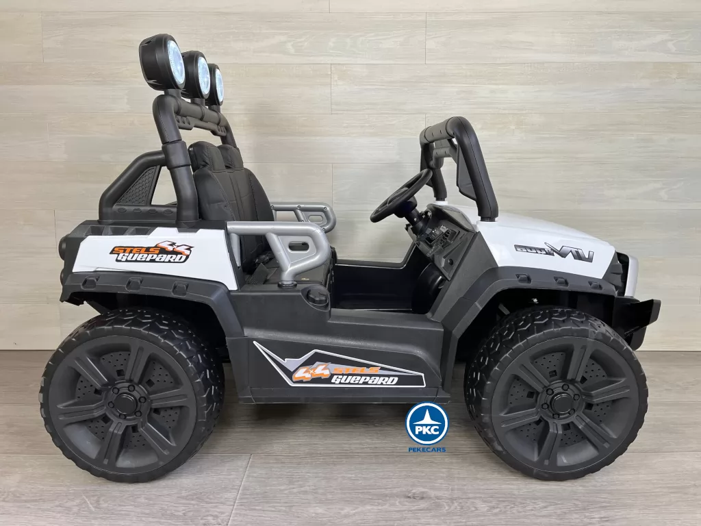 todoterreno buggy guepard