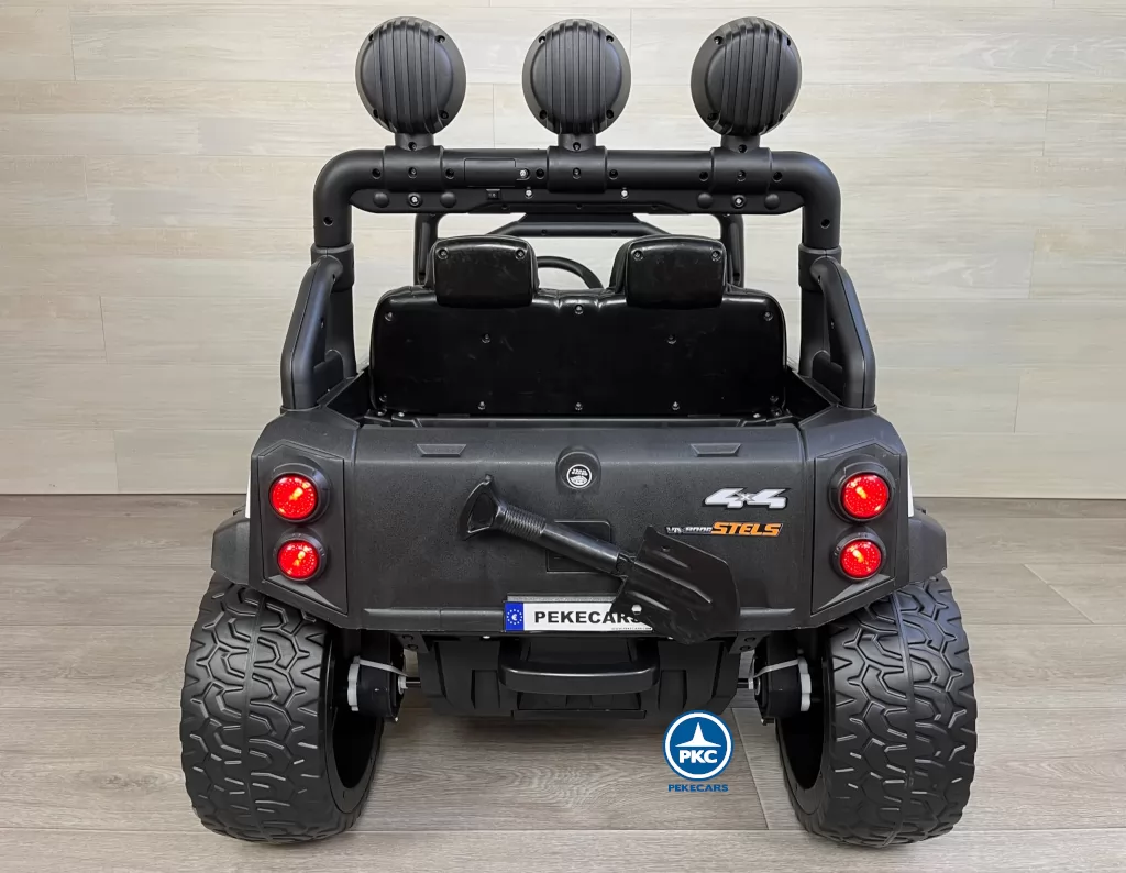 todoterreno buggy guepard trasera