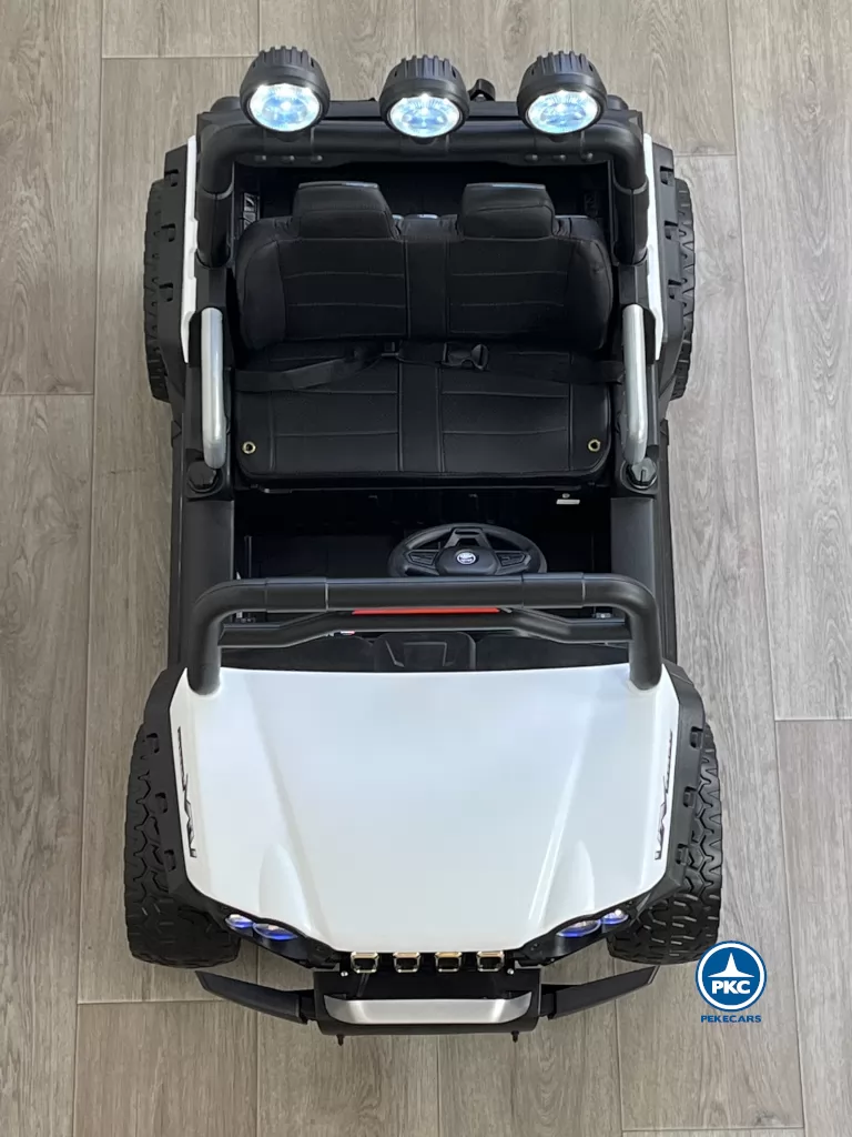 todoterreno buggy guepard desde arriba
