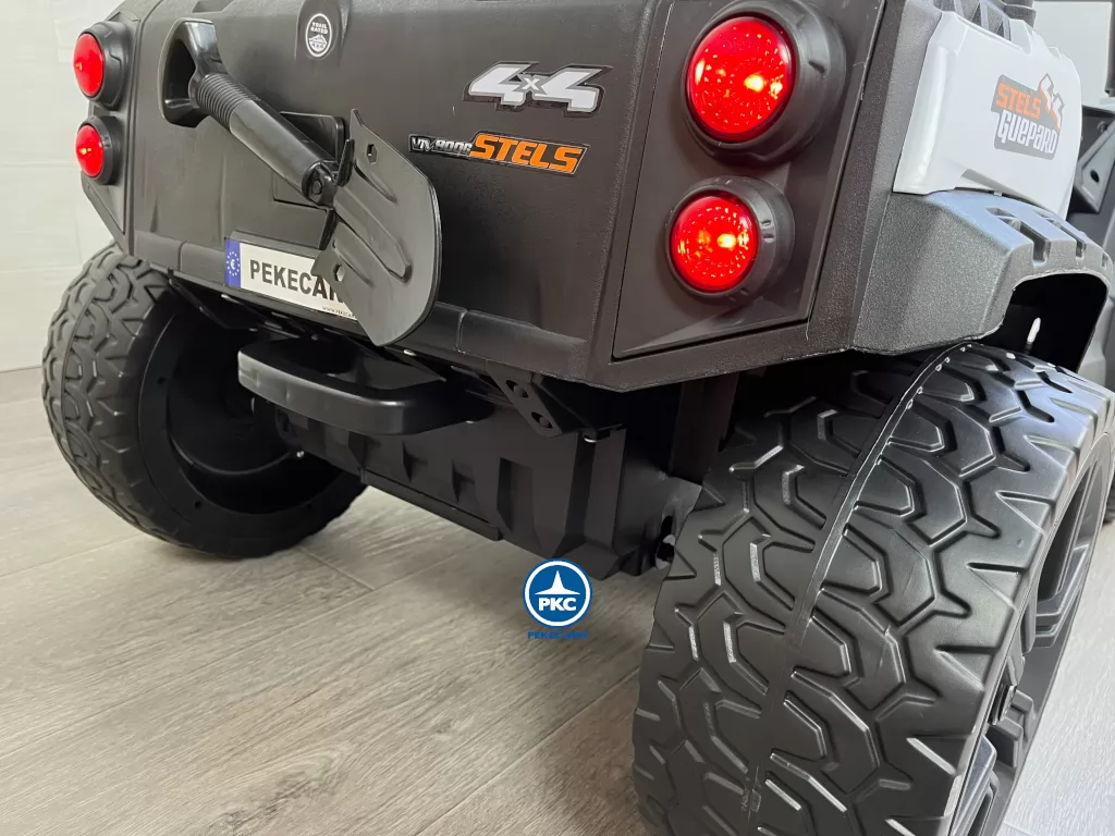 todoterreno buggy guepard traseras