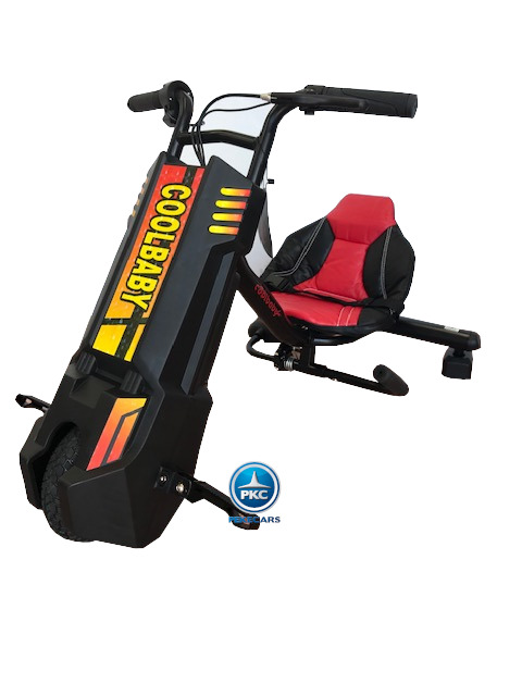 Electric Scooter DP-2 24V Negro