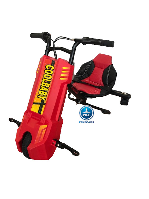Electric Scooter DP-2 24V Negro