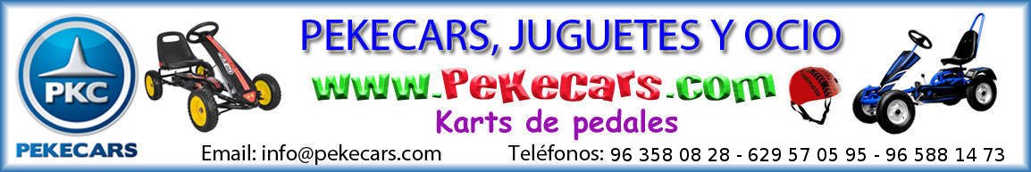 Karts para niños y adultos