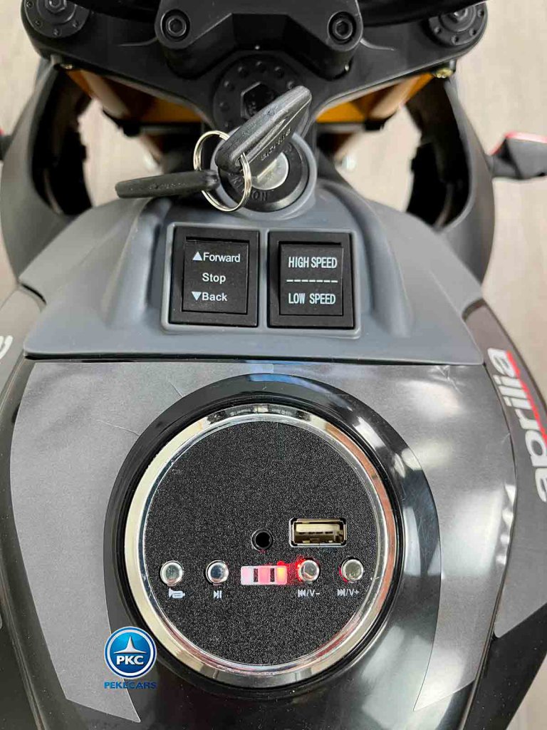 Aprilia Tuono Negra y Gris