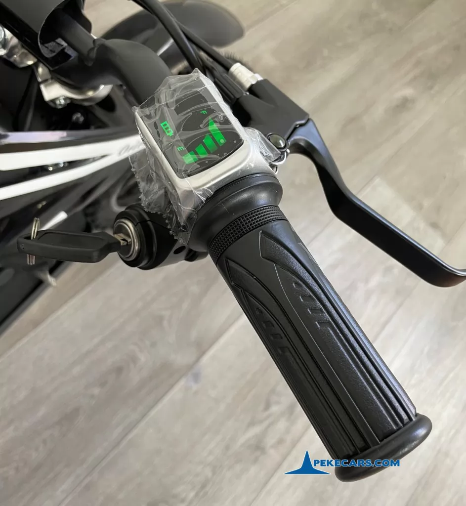 Moto electrica para niños Dirk 36V 800W Negro acelerador