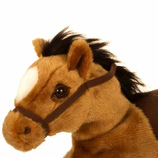Baby horse negro