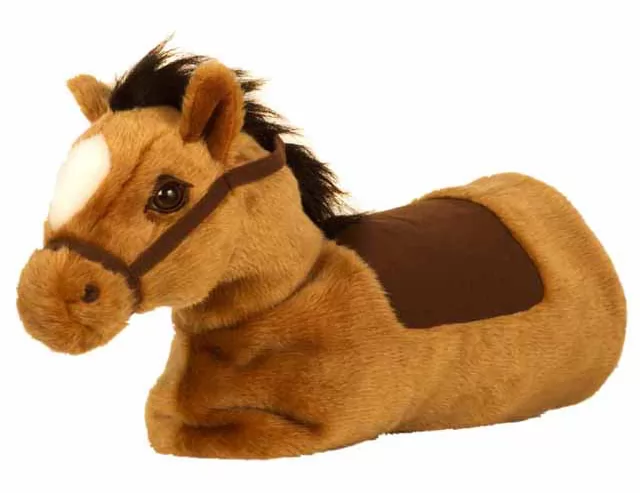 Baby horse negro