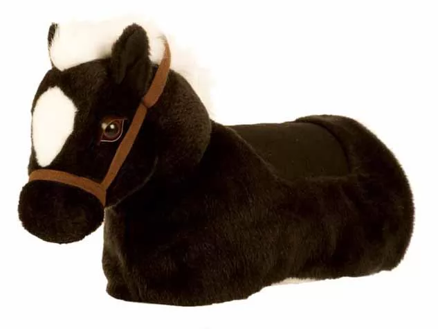 Baby horse negro
