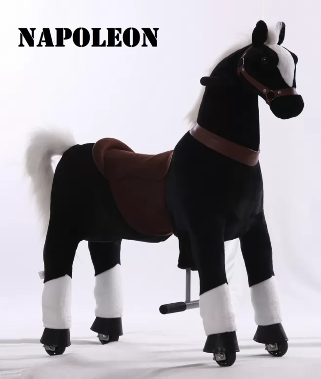 Pekepony Napoleon Mediano