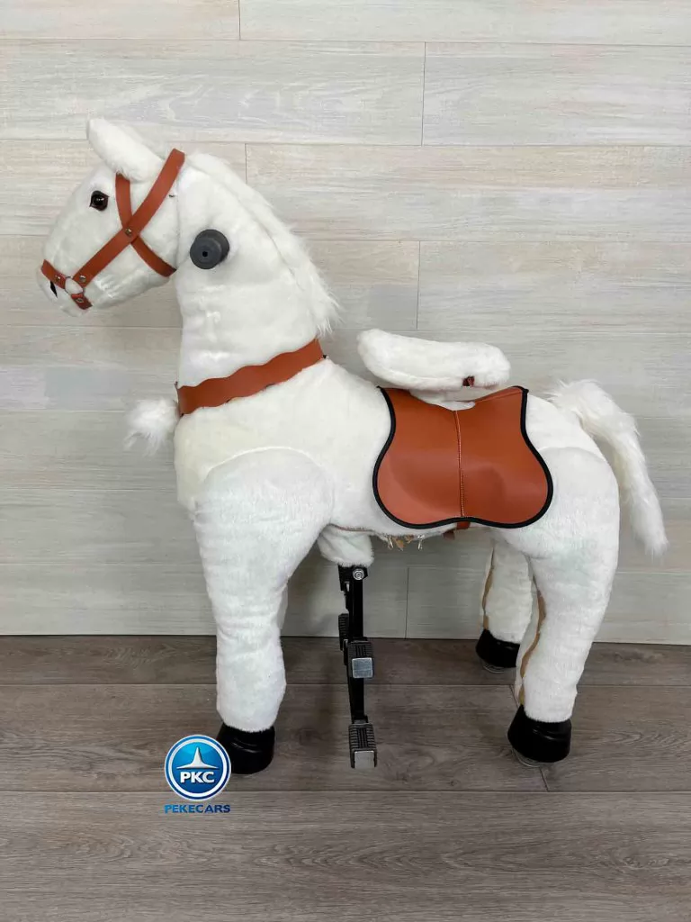 Pekepony maximus mediano