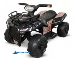 Quad Champion 5000 6V negro sample