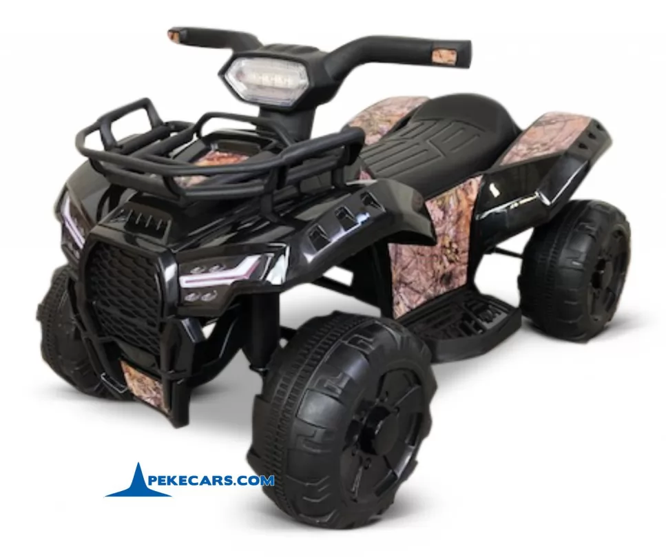 Quad Champion 5000 6V negro sample
