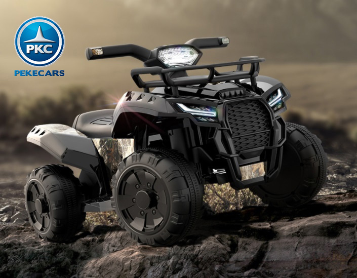 Quad Champion 5000 6V negro sample