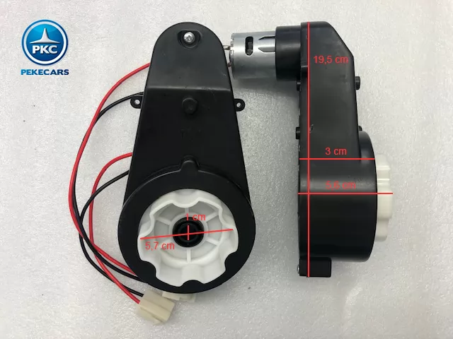 PKCM111