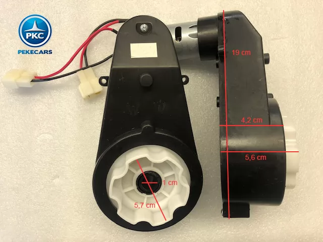 PKCM113