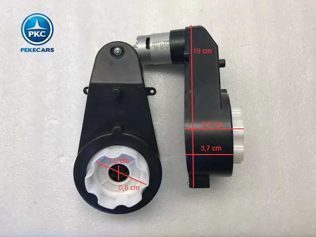 PKCM119