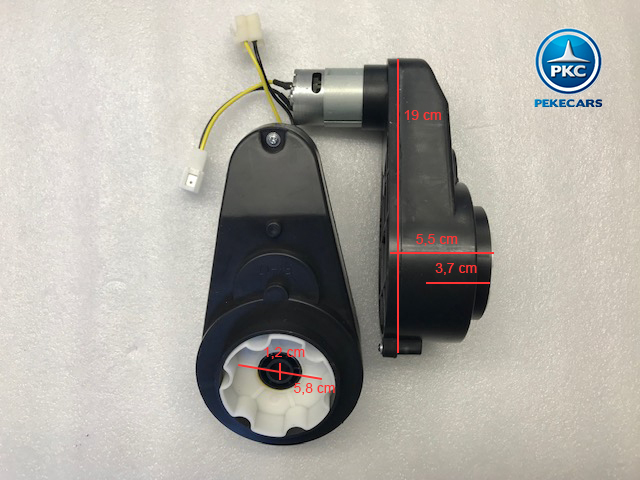 PKCM121