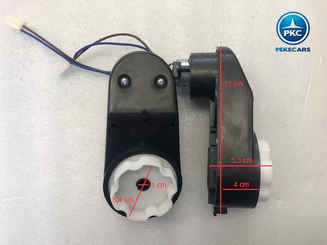 PKCM124