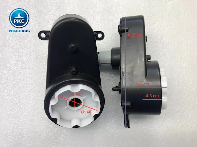 PKCM125