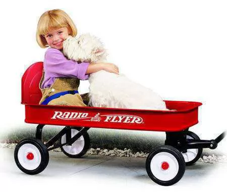 CARRETILLA RANGER WAGON